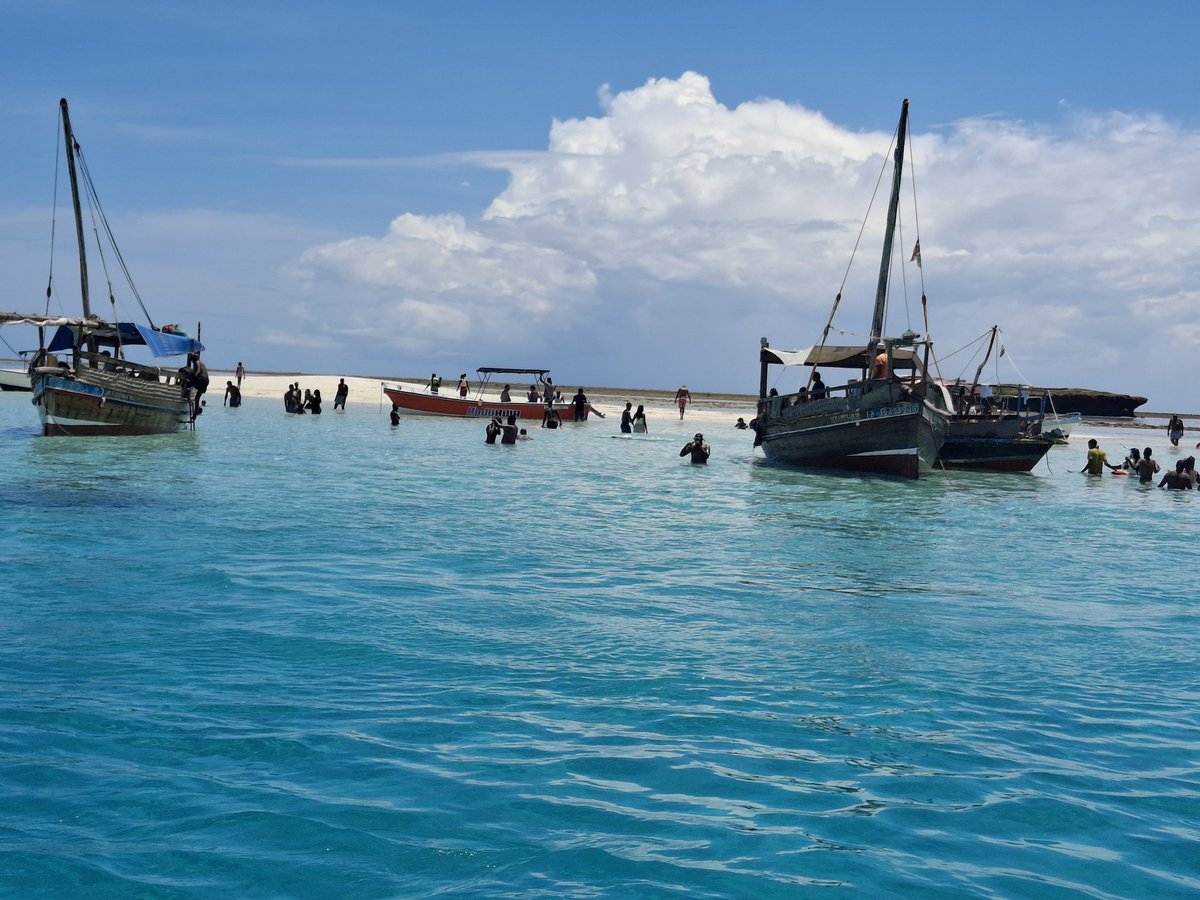 Molly Jerono tweet media