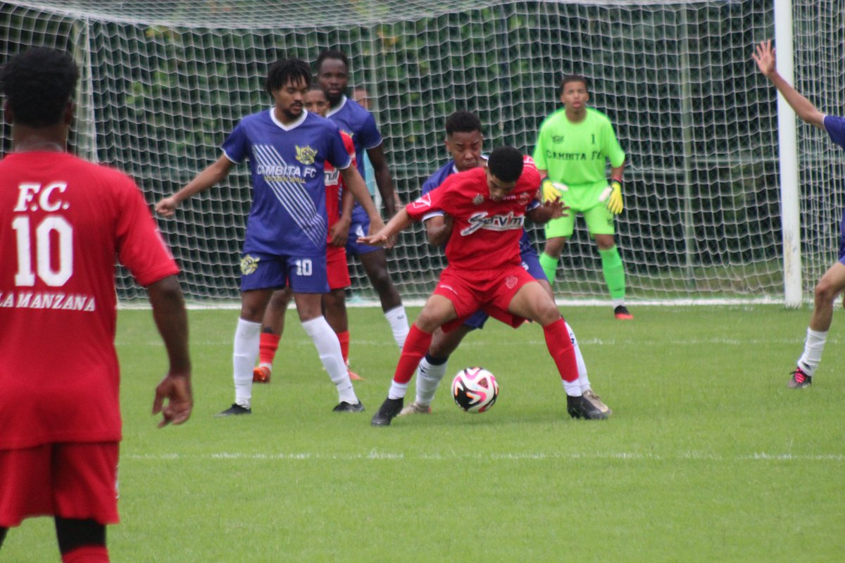 LUIS LLUBERES tweet media