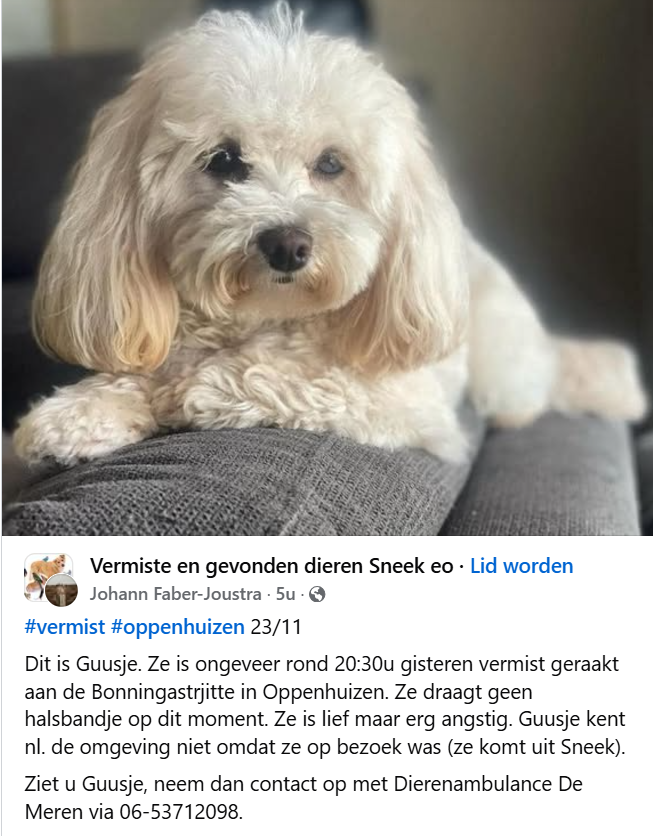 Vermissing Guusje in Oppenhuizen