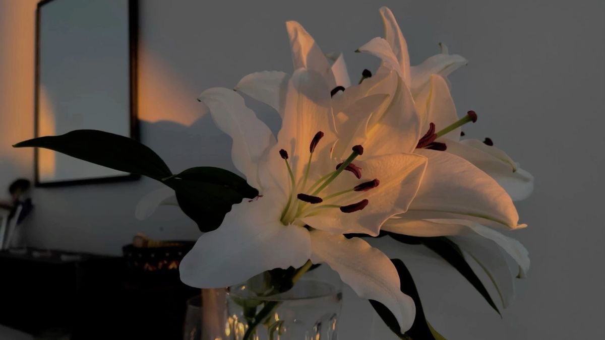 gal౨ৎ (@prtygal777) on Twitter photo 