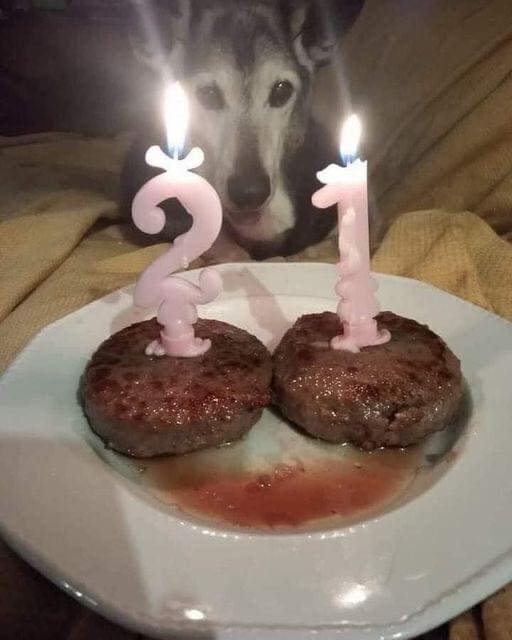 This doggo was adopted at the age of 18, after 17 years of living in a shelter, to at least experience the warmth and love of a family. And now, he just turned 21!
Happy birthday, baby! ♥️