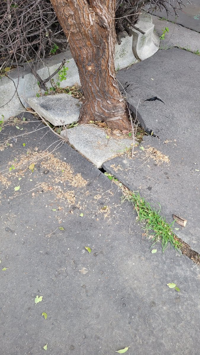 Tulajdonképpen megoldották