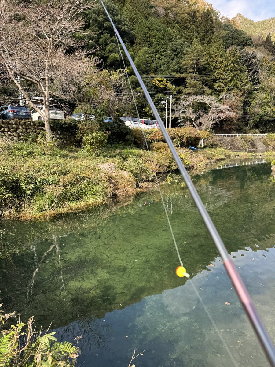 Matchan_Kitchen's tweet image. 最高の日曜日をありがとうございます☀️今日は広島市佐伯区湯来町にある📍湯来釣り堀＠yuki_tsuribori さんの所に遊びに行きました🚗釣りたてを調理してくれるの最高✨塩焼きも唐揚げも絶品でした🔥手ぶらで遊びに行けるの本当最高👍絶対また行こ！！