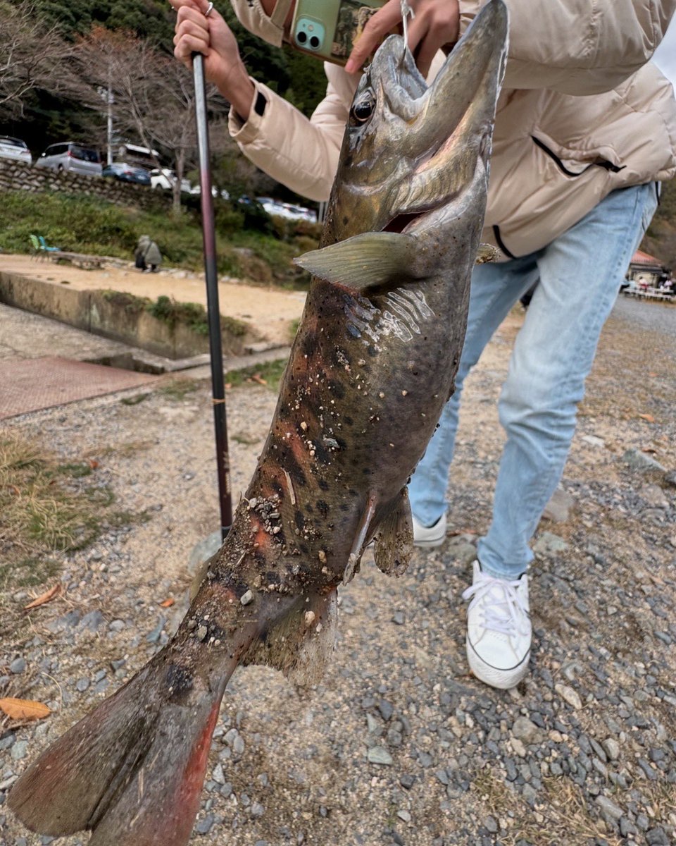 Matchan_Kitchen's tweet image. 最高の日曜日をありがとうございます☀️今日は広島市佐伯区湯来町にある📍湯来釣り堀＠yuki_tsuribori さんの所に遊びに行きました🚗釣りたてを調理してくれるの最高✨塩焼きも唐揚げも絶品でした🔥手ぶらで遊びに行けるの本当最高👍絶対また行こ！！