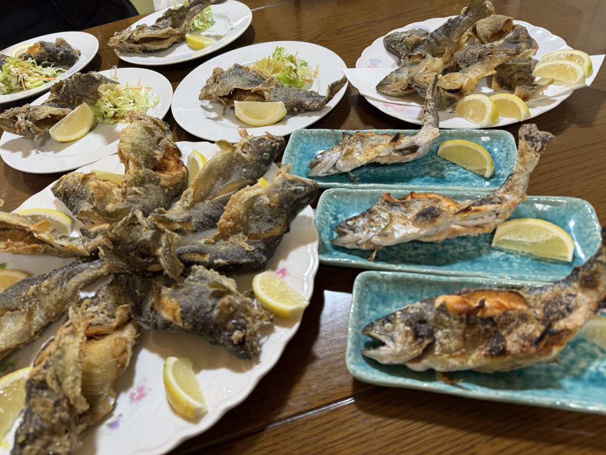 Matchan_Kitchen's tweet image. 最高の日曜日をありがとうございます☀️今日は広島市佐伯区湯来町にある📍湯来釣り堀＠yuki_tsuribori さんの所に遊びに行きました🚗釣りたてを調理してくれるの最高✨塩焼きも唐揚げも絶品でした🔥手ぶらで遊びに行けるの本当最高👍絶対また行こ！！