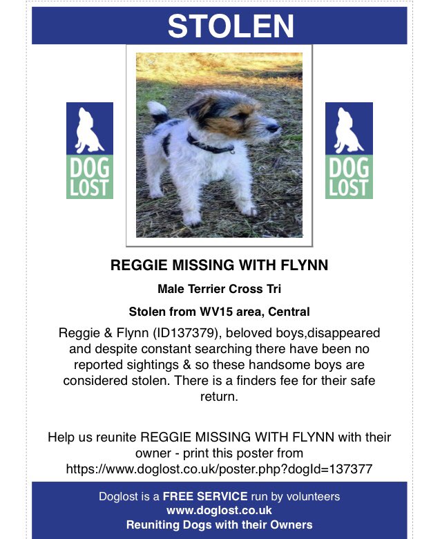 RachaelB100's tweet photo. #StolenDogHour
REGGIE & FLYNN
Sadly still #Missing
#Stolen #PetTheft
Since 4th November 2018
#DudmastonWoods #Shropshire WV15
#Chipped #ScanThatChip
REGGIE
Tri~Colour #TerrierX
https://t.co/kjkS6KvSxr
FLYNN
Grizzle #BorderTerrier
https://t.co/ioUEsembsK https://t.co/dZBtV0UszH