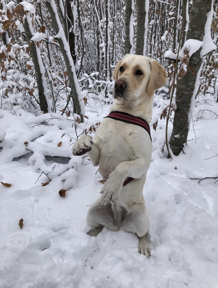 Lexi reacts tweet media