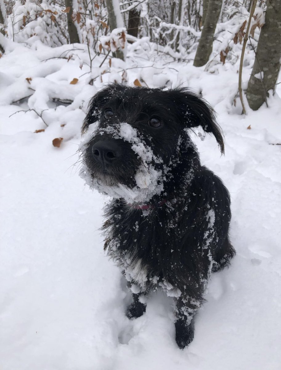 Lexi reacts tweet media