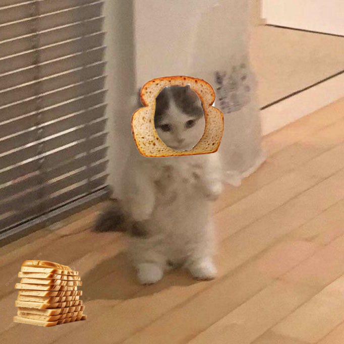 INBREDCATONSOL's tweet photo. @michionsolana @CocaCola have a michi 🍞🫵😹🍞 https://t.co/sBl2KDIkPt