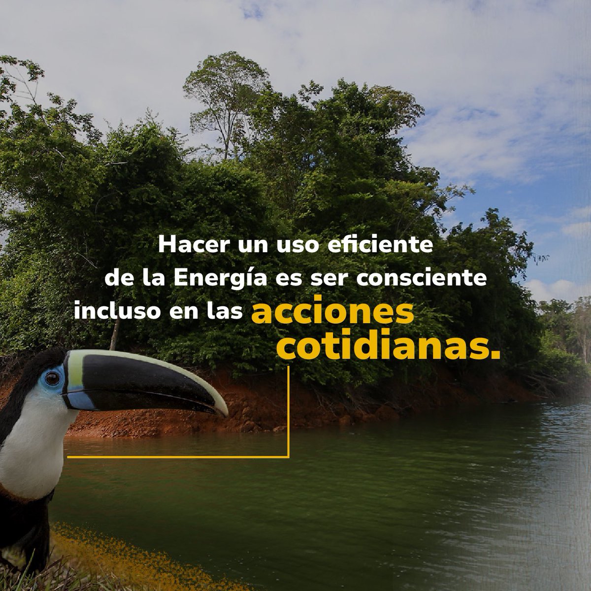 MinEnergiaCo's tweet photo. ¡El cuidado del planeta está en nuestras manos!
Hacer un uso eficiente de los recursos es una responsabilidad colectiva y representa un cambio enorme en términos de preservación.
#CuidaLaVida ⚡ #CuidaTuEnergía https://t.co/0m1Gklajj5