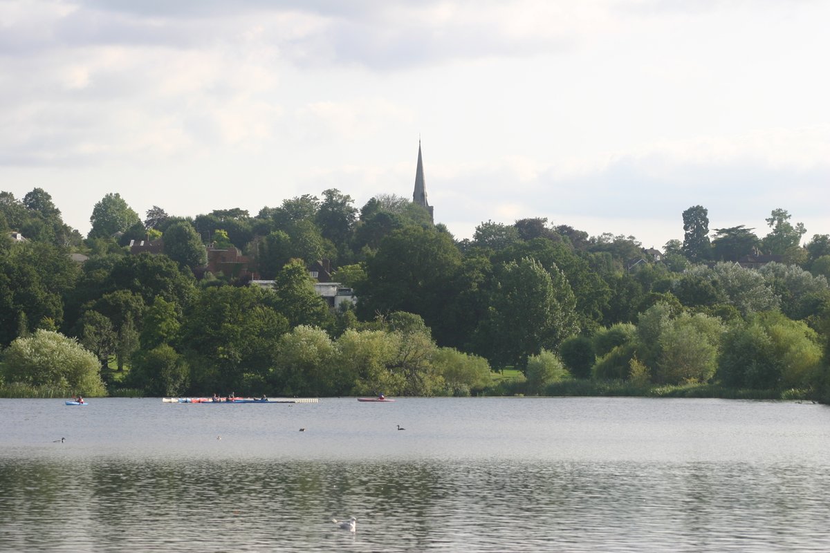 FoWimbledonPark's tweet photo. We have 5 volunteer role vacancies in Friends of Wimbledon Park. Get involved with our local park and community ! https://t.co/ypG1voboJI
#Volunteer #Environment #WimbledonPark https://t.co/eHwlcVicZd