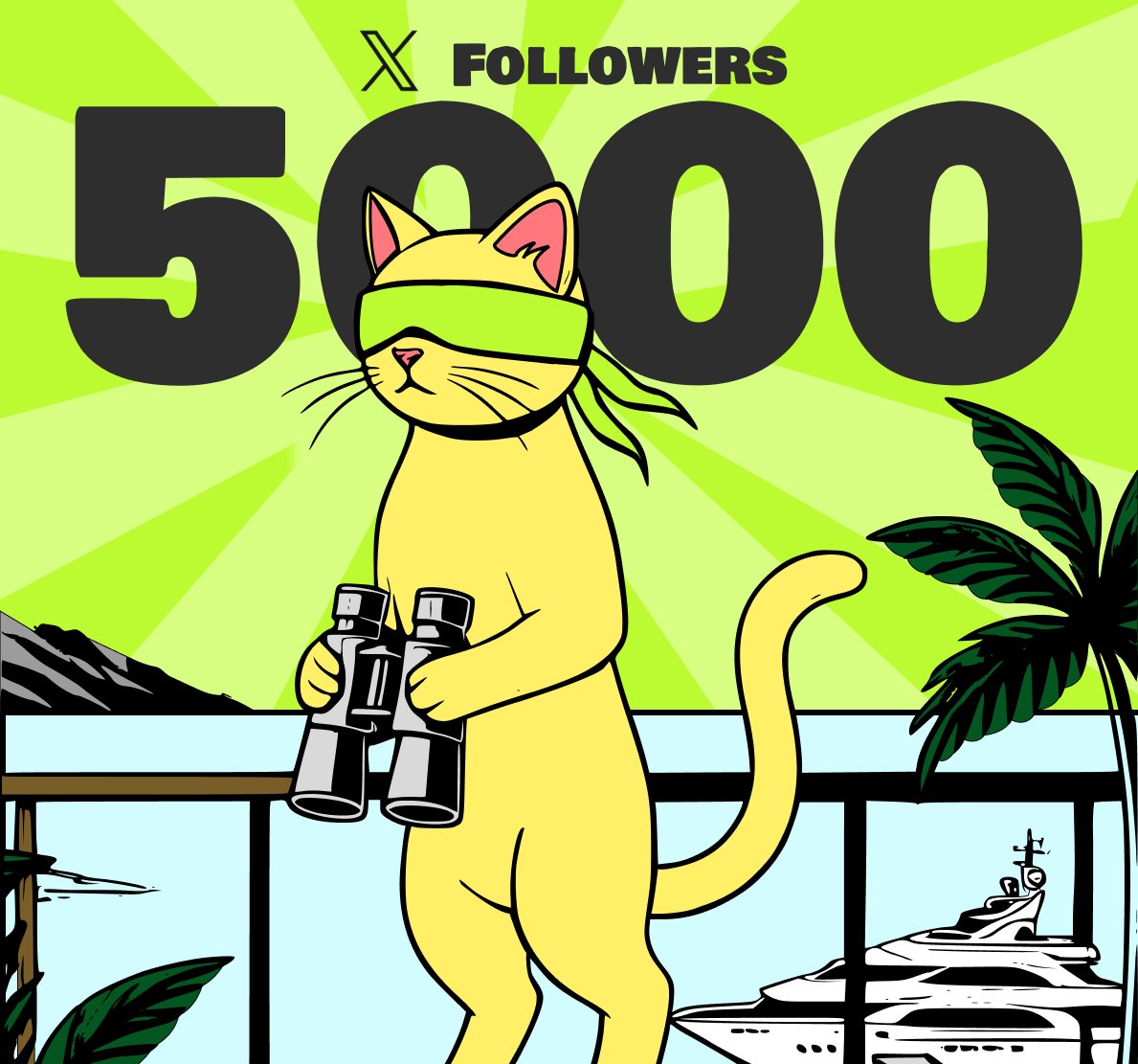 Linpuss tweet media