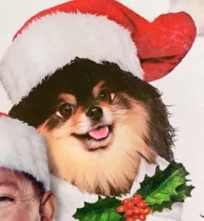 chimmyschurro's tweet photo. inside taehyung there are 2 wolves and he’s releasing em both within a week of each other merry christmas https://t.co/AO1EOvsoDL