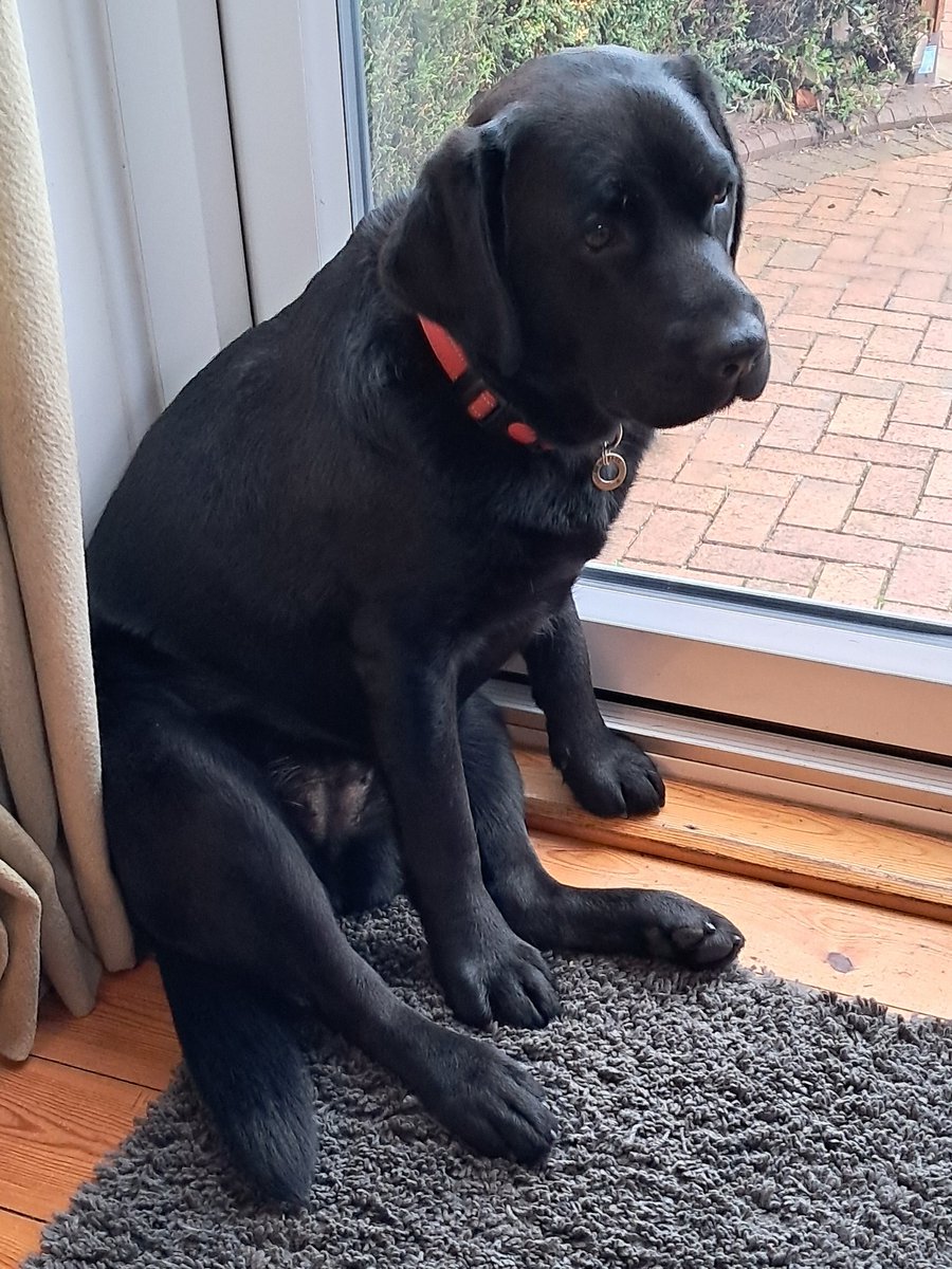 Karen wright tweet media