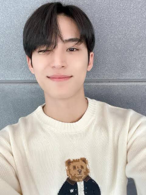 Abyanhs2's tweet image. Haii gaiss ada yangg mau kembaran sama mingyu gaa ? rare item nihh, ga datang dua kali😭 cocok banget  buat konser besok🤩🤩, penawaran terakhir di 400k ada yang mau nambahin ??