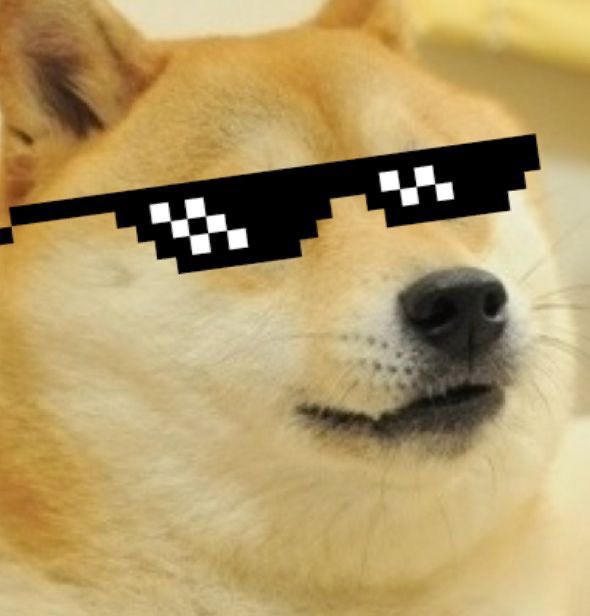 Investments_CEO's tweet photo. $DOGE TO $2 THIS CYCLE ⬆️ 

NOTHING WILL STOP IT 🐕 https://t.co/BAmEz6bS1j