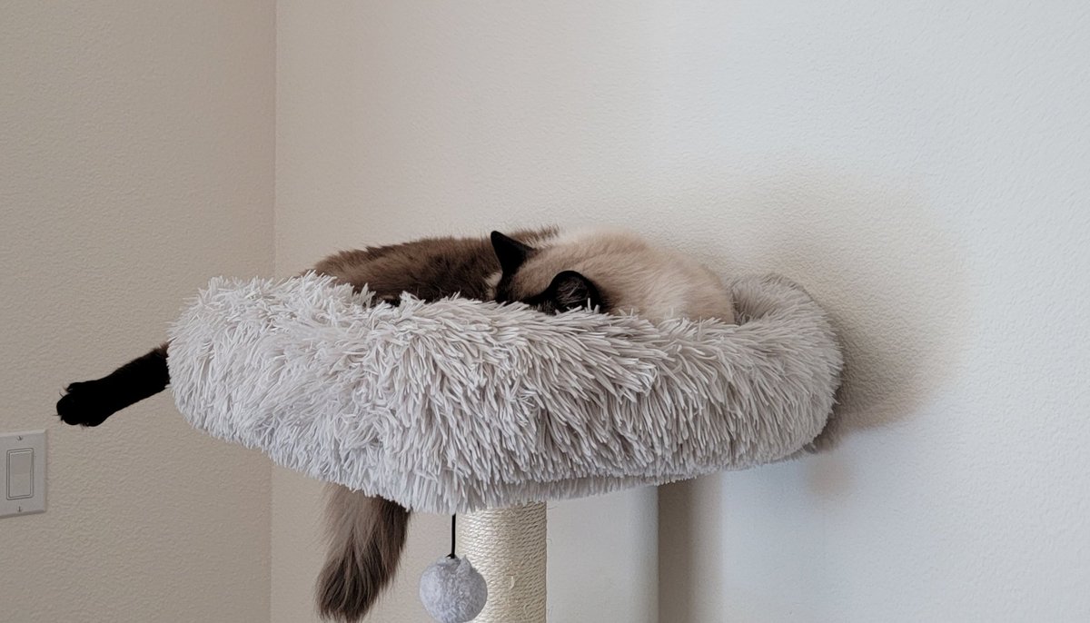 Professional Hater (@vimmtogg) on Twitter photo 