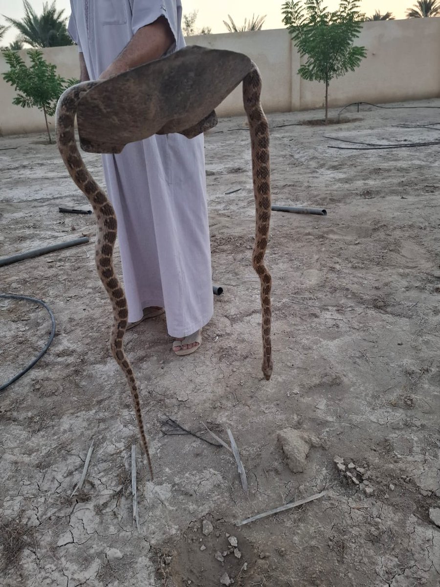 شبكة الريح للطقس tweet media
