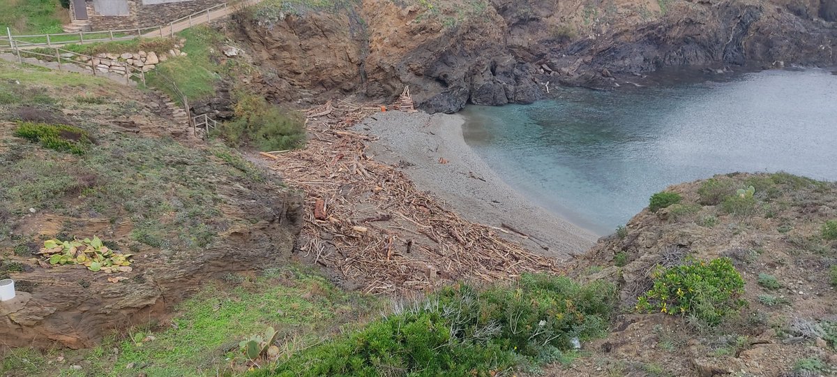 Platges Netes Llançà tweet media