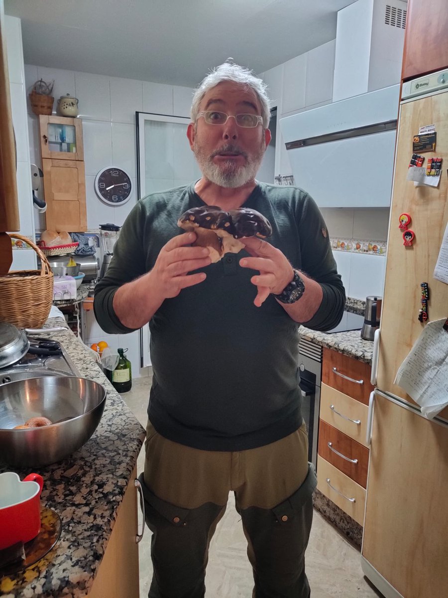 payaperdidaenpolonia tweet media