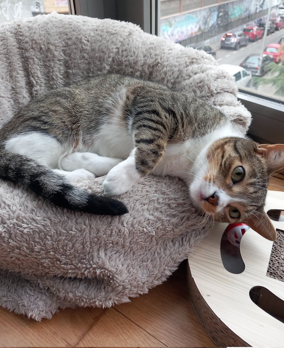 Hope 🤖 tweet media