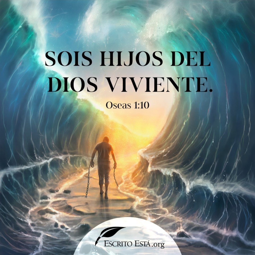 josefelixcar77's tweet photo. "Pero Pablo se sacudió la víbora en el fuego, y no le pasó nada"
#Hech.28:5
Tenemos un Dios Maravilloso que nos cuida cada día.
Sus Promesas son reales y Leales, pero,
Las promesas de nada sirven si no las crees...
Ayúdame Señor a Creer en Tu Poder y Bondad🙏
#Amen
#Rpsp https://t.co/3zIGcAbjpy