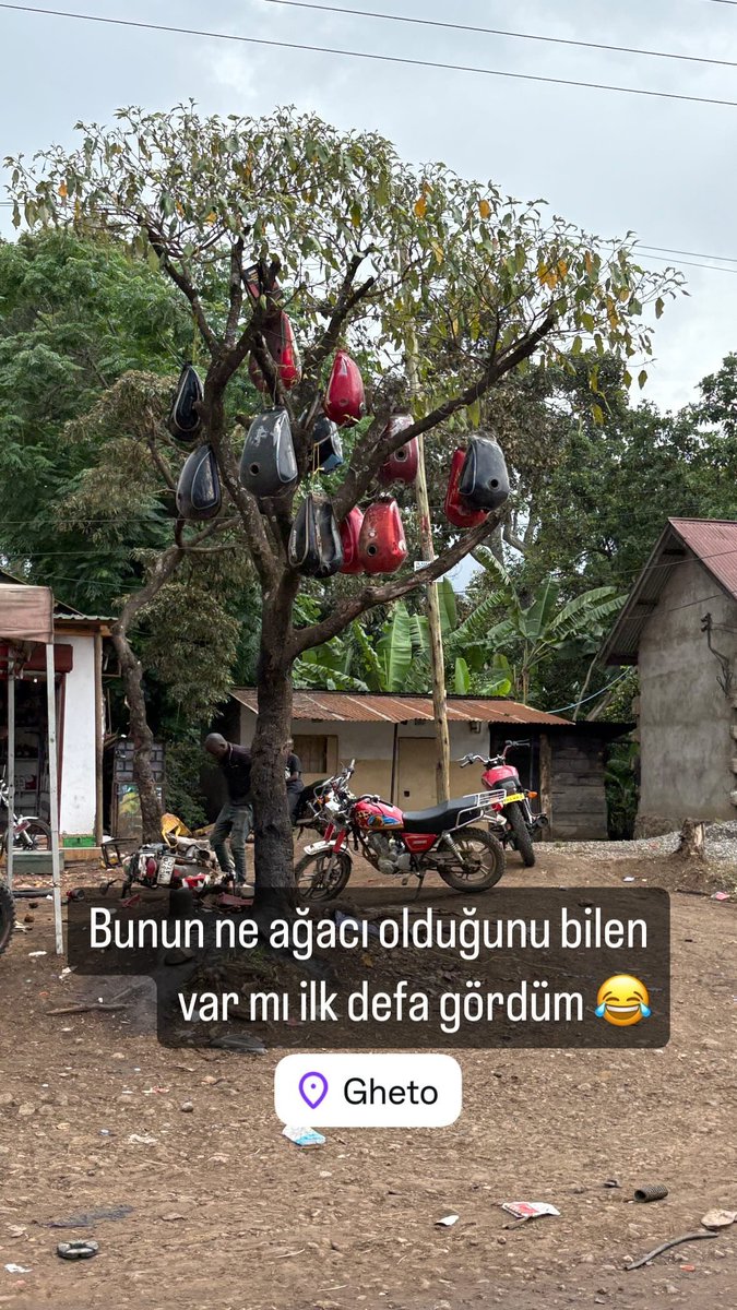 soloburadaydi's tweet image. Solo Buradaydı 👇

#SoloBuradaydi #ZanzibarVibes #TravelAndCreate #YouTuberLife #ExploreZanzibar #Traveller #ContentCreatorOnTheGo #IslandLifeAdventures #bosphorus #ZanzibarDiaries #fish #gezgin #Travel #YouTuber #sea #island