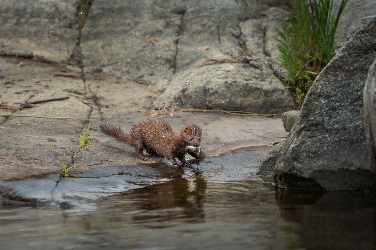 Canada Water Agency tweet media