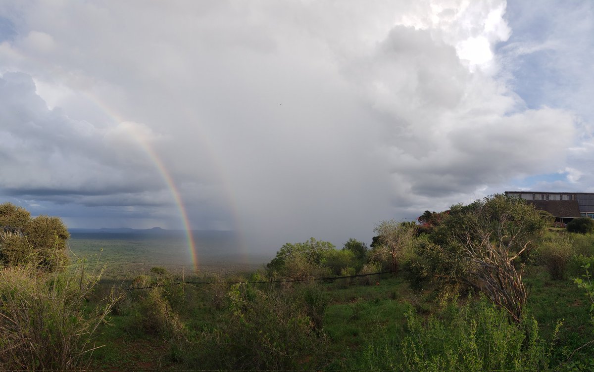 A Rocha Kenya tweet media