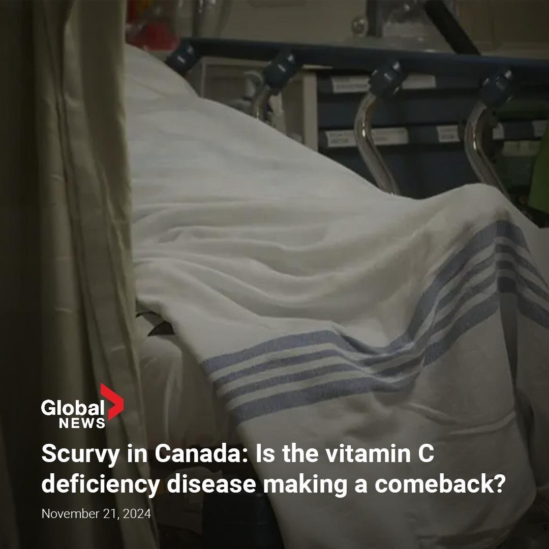 Pierre Poilievre tweet media