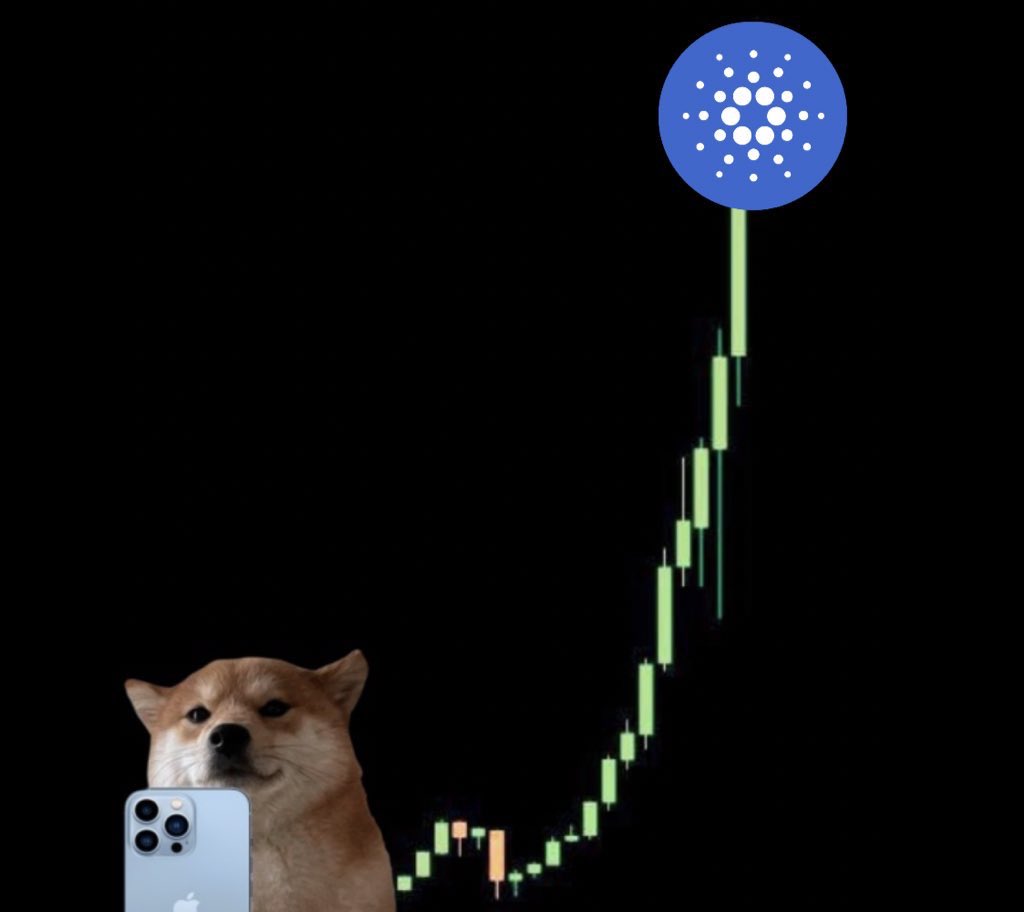 Julia tweet media