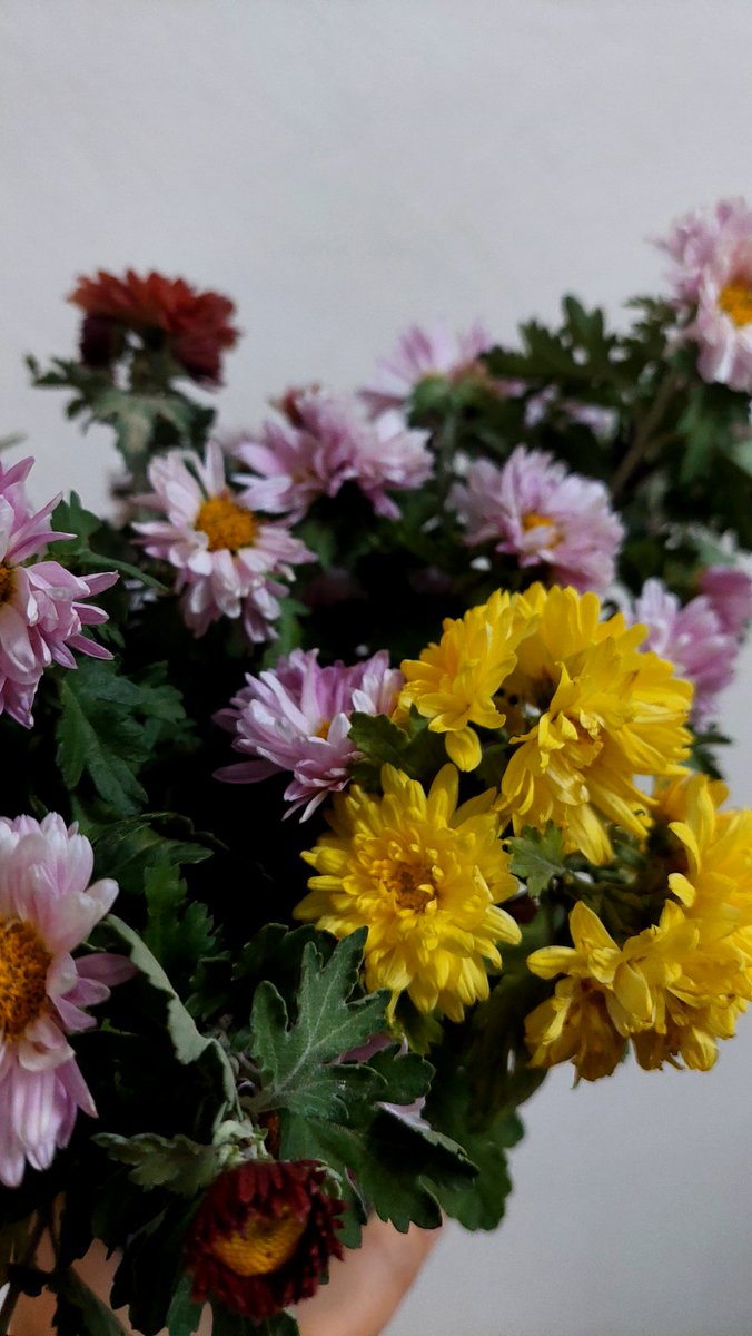 thcrescent's tweet photo. Kasımpatısını öğrencilerinden alan o şanslı kız ✨️🦋🌸🎀 https://t.co/0CBQohEpuv