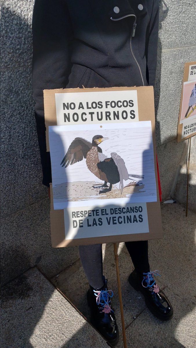 joserrasn's tweet photo. ¡No a las luces en el río Manzanares! Con lo que ha costado renaturalizar el río y la cantidad de fauna y flora que podemos disfrutar en Madrid, se lo quieren cargar. 
El primer paso para la loca turistificación del río.
#madridverde #porunriovivo #noalaslucesenelmanzanares https://t.co/zjLkynBcTh
