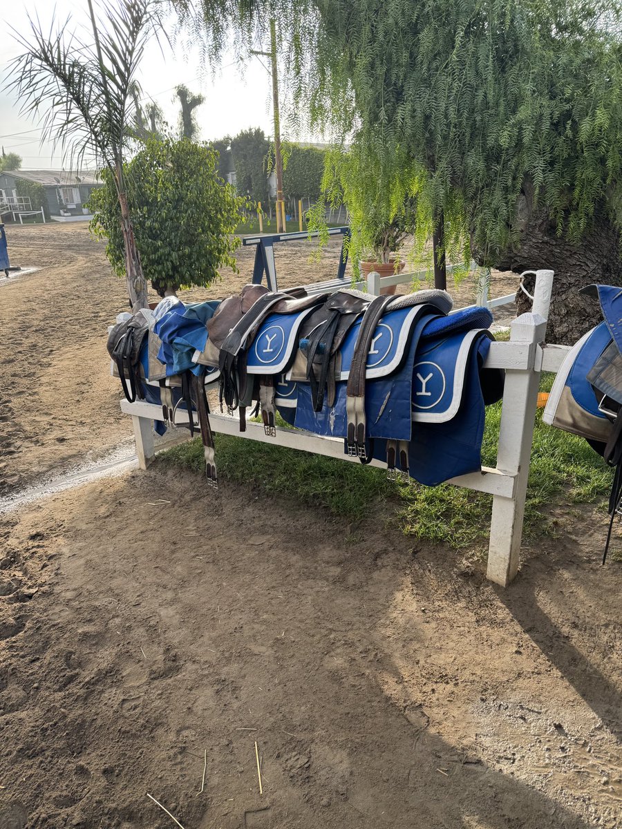 Busy morning at the <a href="/timyakteen/">Tim Yakteen</a> barn 🤪 but we got it done! @WatchXBTV