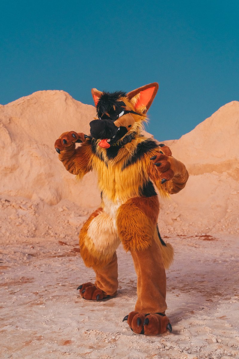 🏜️
🐕 <a href="/rustydawggo/">Rusty</a>