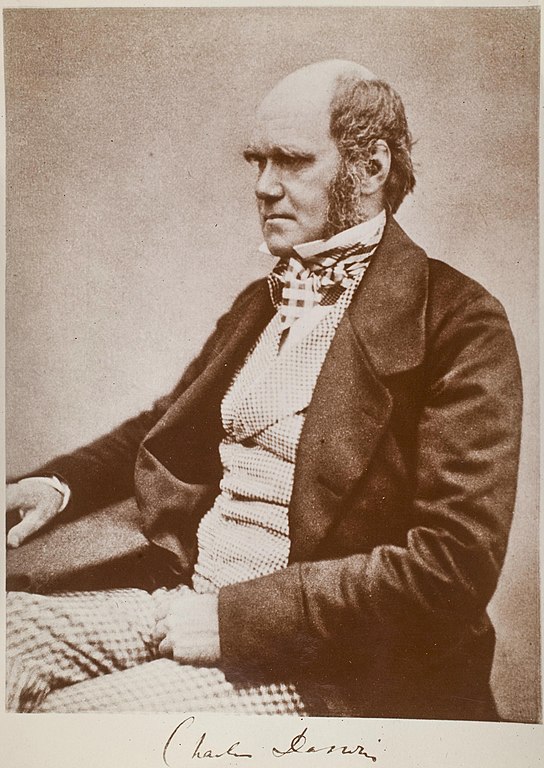 Nereide's tweet image. 24 November 1859: &apos;On the Origin of Species by Means of Natural Selection&apos;, Charles Darwin&apos;s groundbreaking book, was published.

Darwin&apos;s magnum opus is considered to be the foundation of evolutionary biology and is undoubtedly one among the most important books in the history…