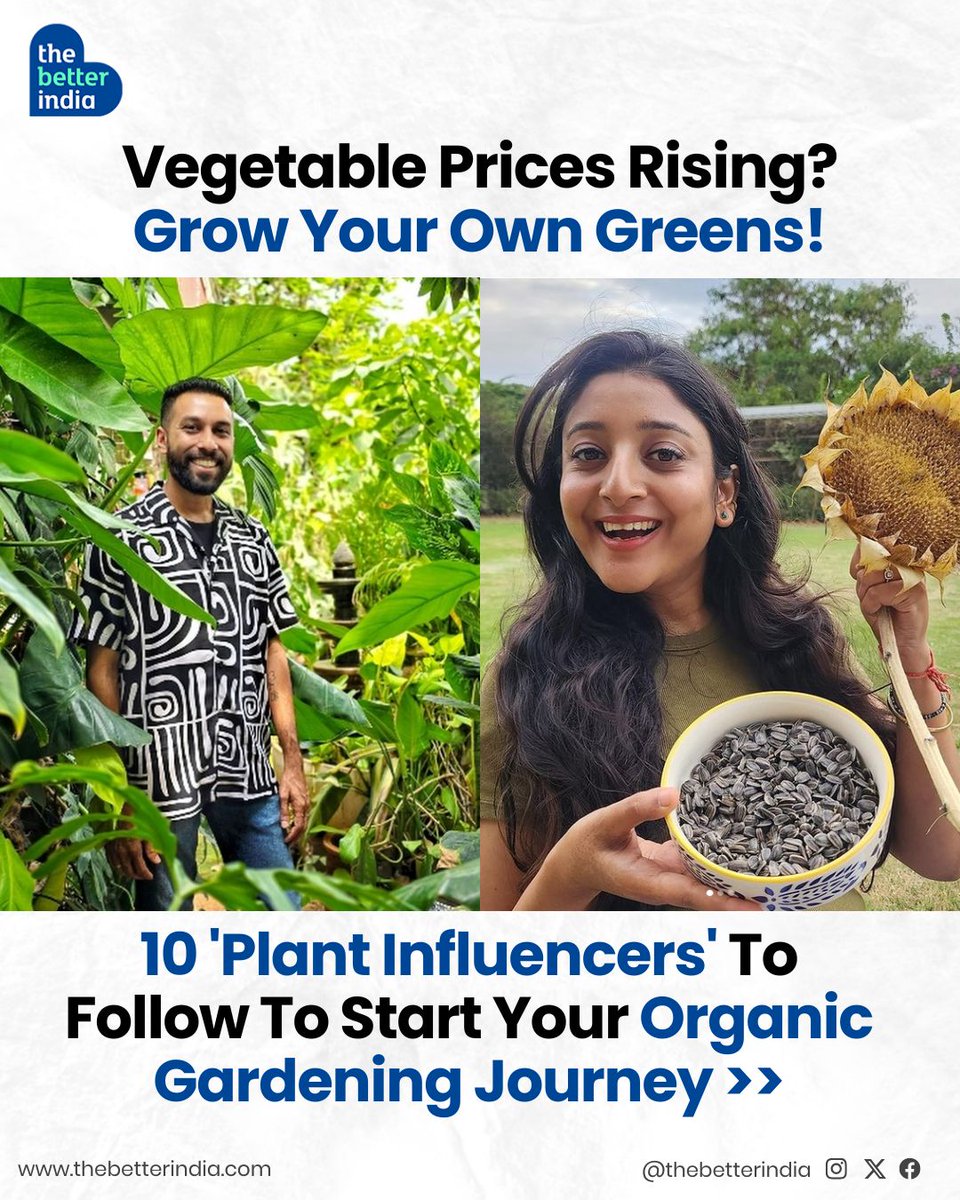 thebetterindia's tweet photo. With vegetable prices on the rise, it’s the perfect time to take matters into your own hands and start growing organic veggies at home! 

#OrganicGardening #SustainableLiving #PlantInfluencers #gardening #DIYgardening #urbanfarming #homegrown #gardeningtips https://t.co/n1l0J38SQu