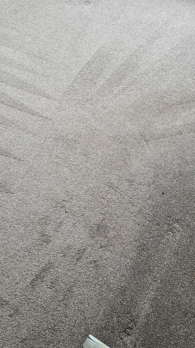dmcarpetclean's tweet image. Don’t let dirt dull your carpets! Cardiff, we’re here to keep your floors at their best. 💪✨ #DMCarpetCare #CardiffLife #FreshVibes