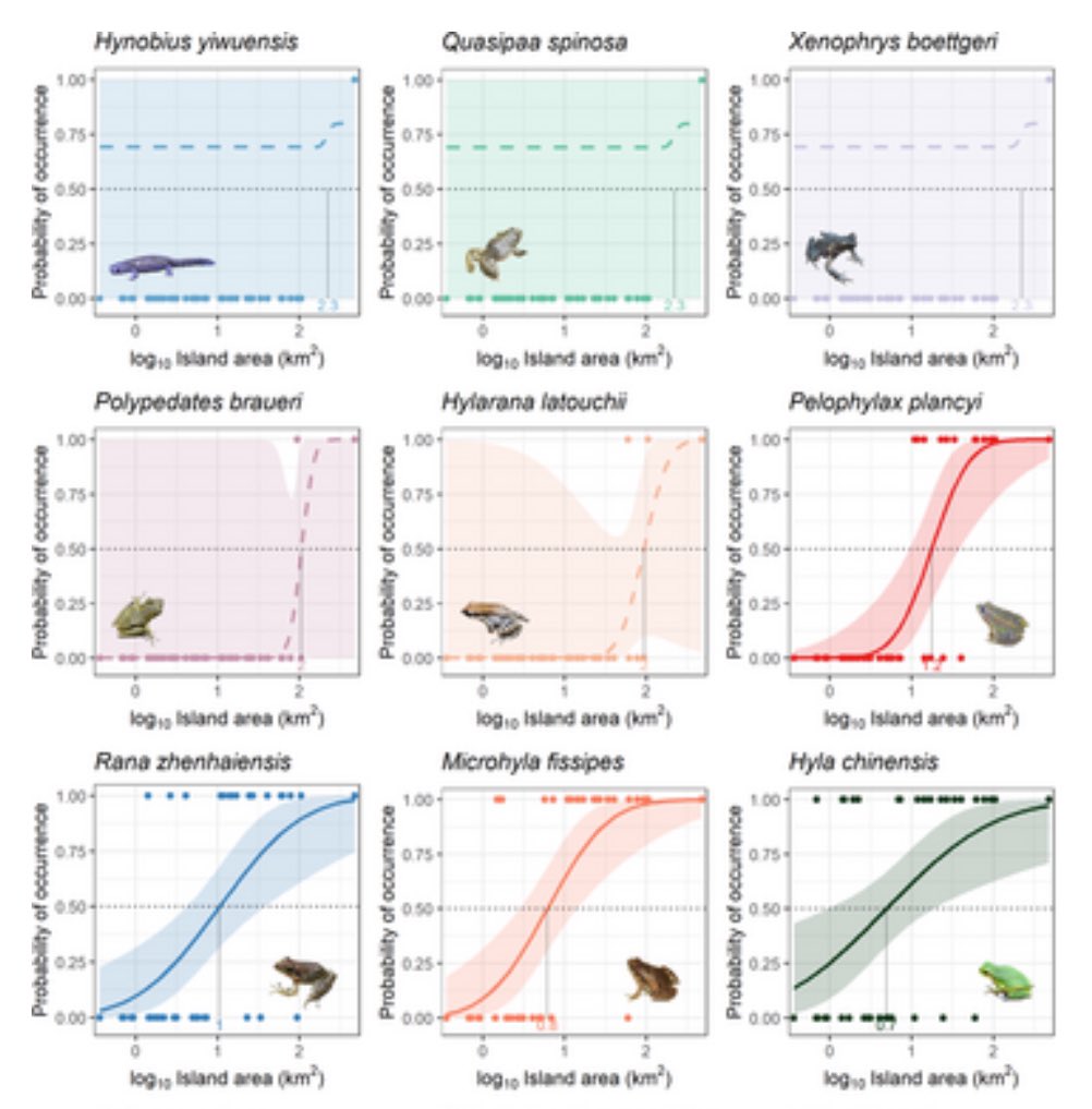 consbiog's tweet image. How do #speciestraits and biogeographical factors determine the fate of #amphibians after long-term #fragmentation?
doi.org/10.1111/ddi.13…

#extinctionvulnerability #frogs #biogeography #islandoccupancy