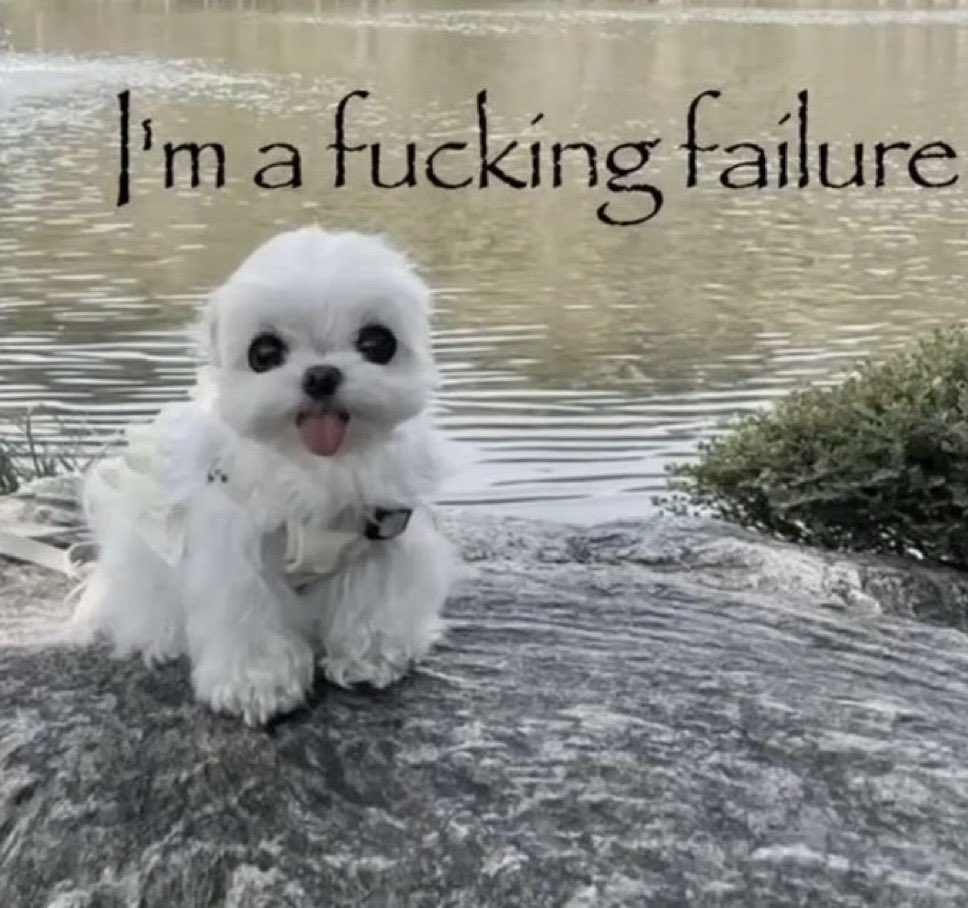 stupid idoit t (@peeholelicker) on Twitter photo 