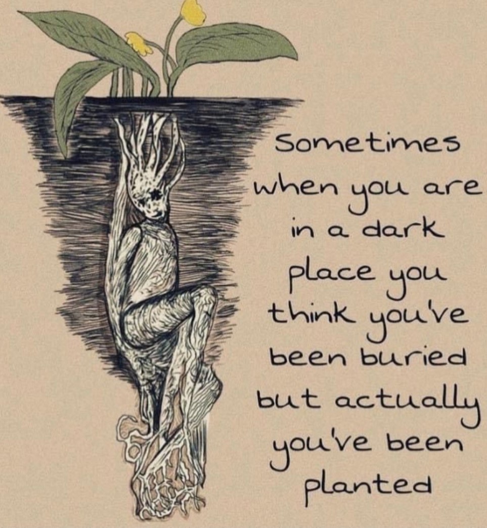 Last TW before tomorrow's commemoration of some of those we've lost. The damage caused to most women &amp; girls by men's violence will never publicly be recognised or reported. For those still living, I see you. I believe you. I care about you. Please stay
#SuicidePrevention #IDEVAW