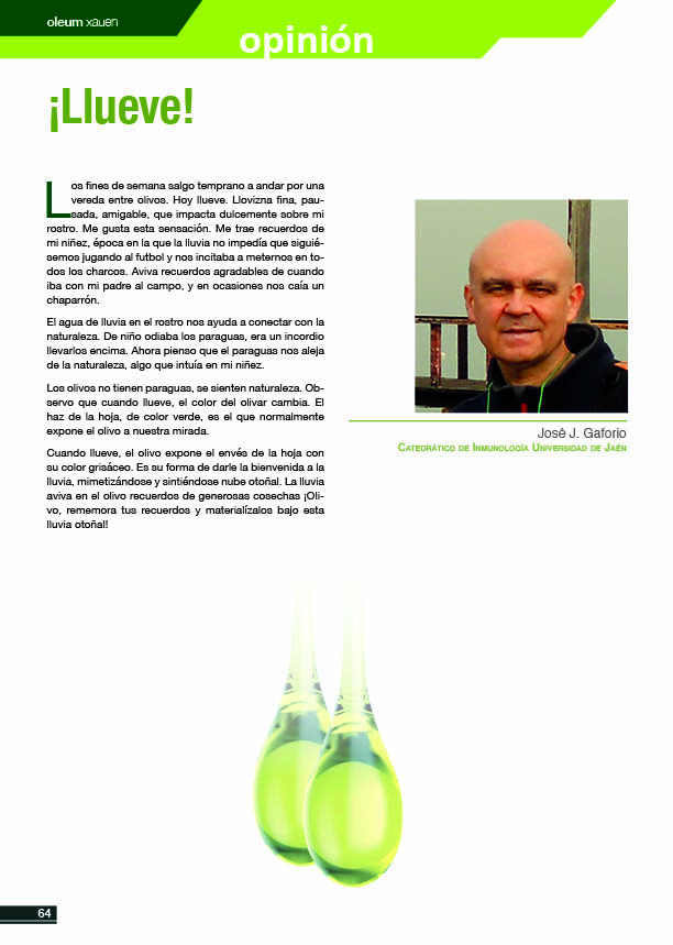 Revista Oleum Xauen (@oleumxauen) on Twitter photo 