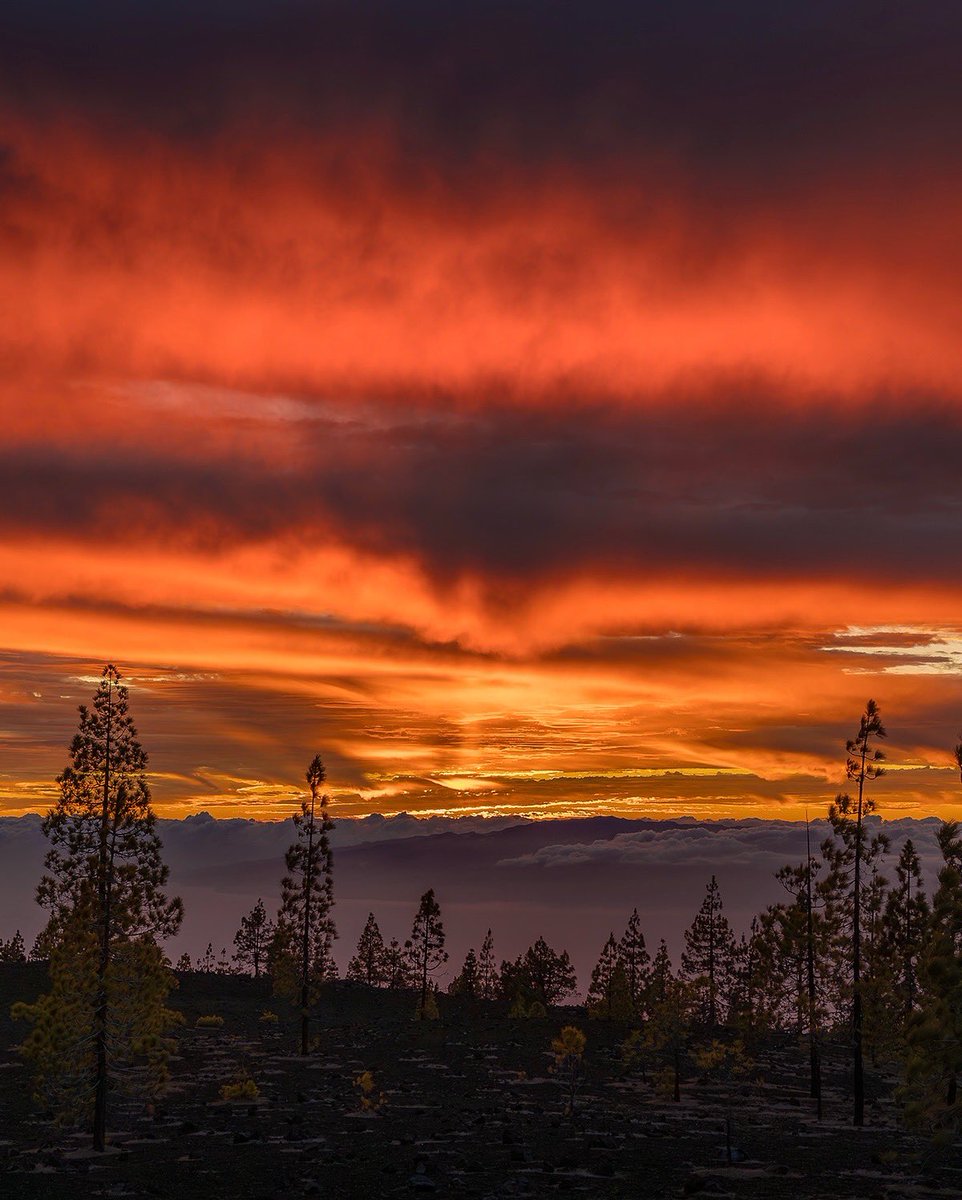 Imanolzuaznabar's tweet photo. Dos fotos del tremendo espectáculo que tuvimos en los cielos de Tenerife durante la tarde de ayer. https://t.co/iNZDHC2MkS