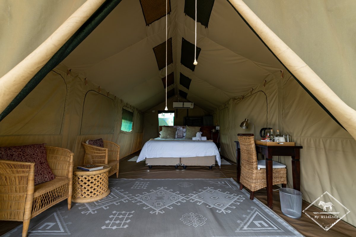 BlogMyWildlife's tweet image. Test et avis sur le Wilderness Tented Camp, un petit  camp de 10 tentes confortables et d'un bon rapport qualité/prix, dans la réserve privée de Mapesu en Afrique du Sud my-wildlife.com/avis-sur-le-wi… 🇿🇦

#bestlodge #mapesegemereserve