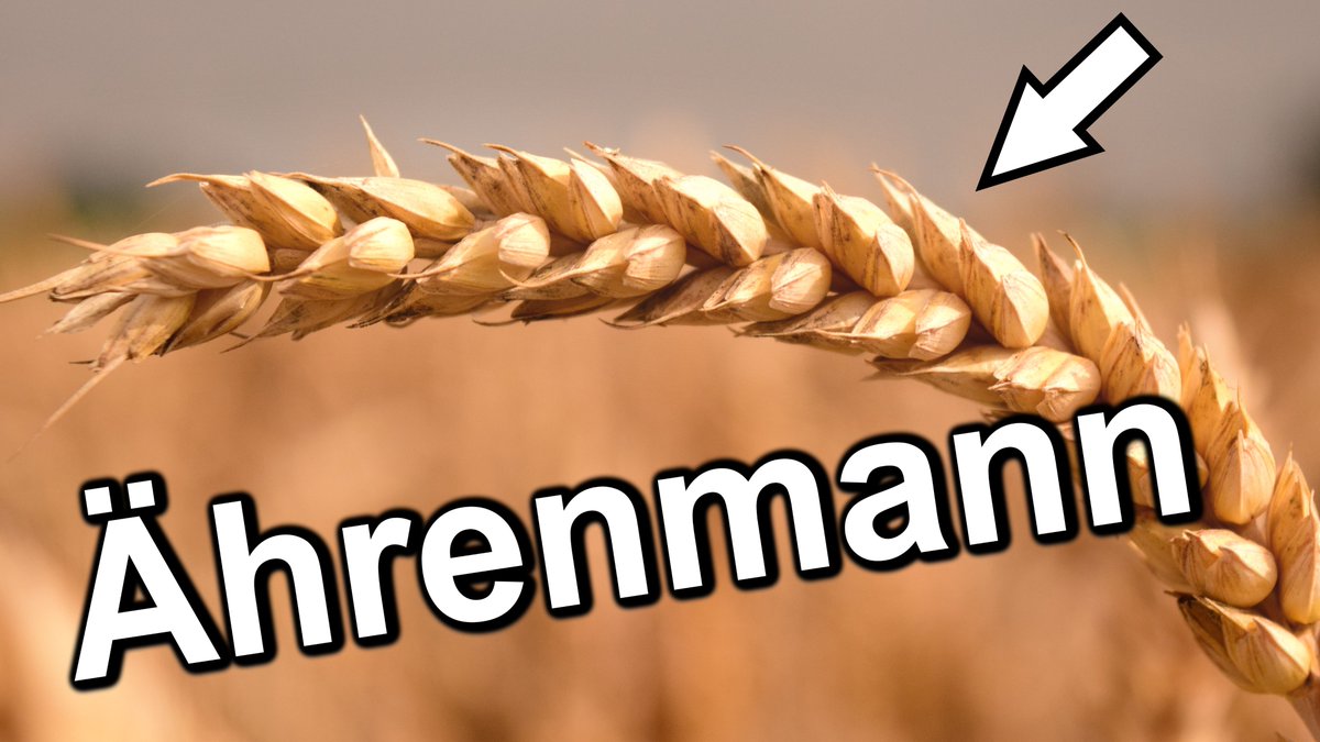 TeilzeitREKTor tweet media