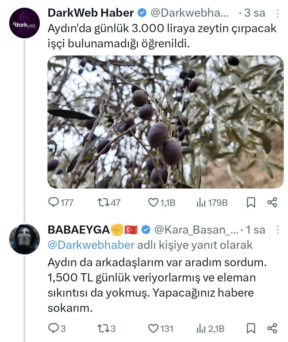 Algı çalışması yapıyorlar! Maksat sığınmacıları burada tutmak..Günlük 3 bin liraya eleman bulamıyorlarmış,harbi mi ya !?