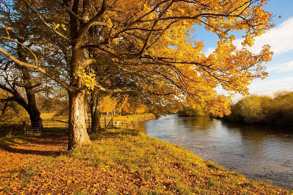 Do you feel calmer when you’re out in nature? Being around trees lowers our blood pressure &amp; reduces stress. In a world that’s getting busier, trees have never been more valuable to our wellbeing! #NationalTreeWeek 🌳 💚