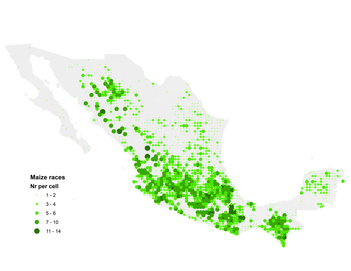 #30DayMapChallenge Day24 - Only Circular shapes.
Nr of Maize landraces per cell in Mexico
Data from CONABIO and INEGI
Didn't cheat, country also consists of small circular shapes