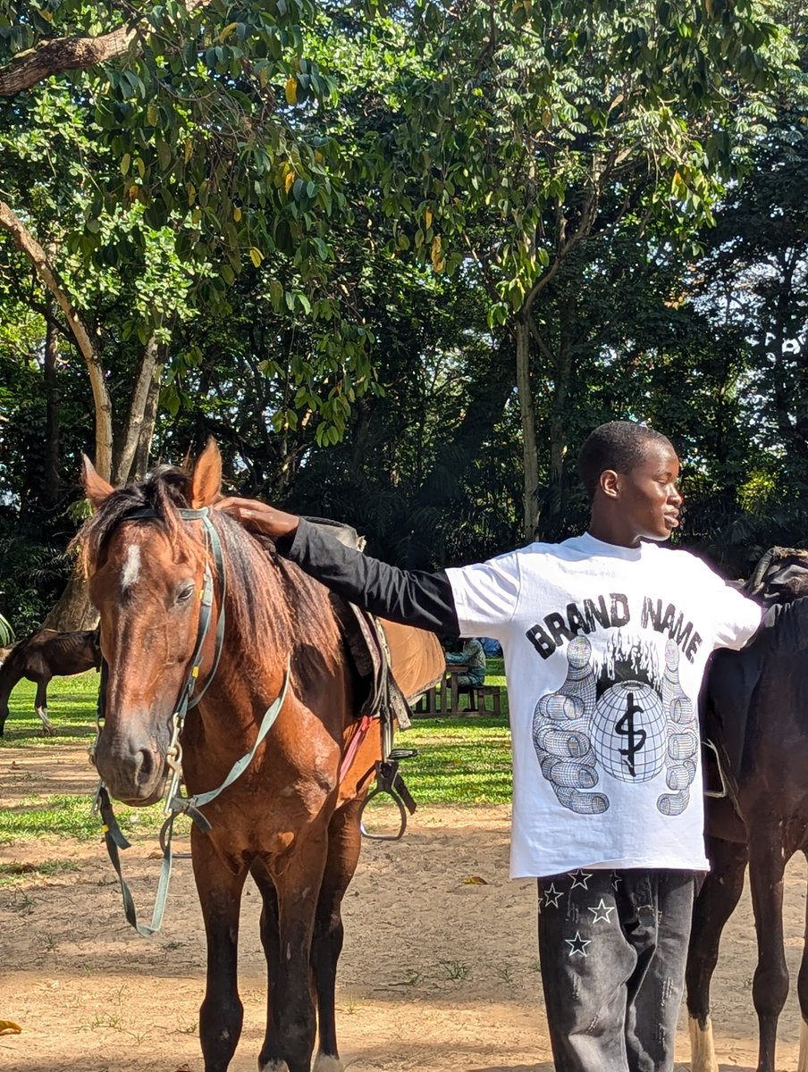 DruxAMB's tweet photo. I met Oscar today, a legendary horse that has been of service for around 11 years now 

who knows Oscar from Ibadan Nigeria here?