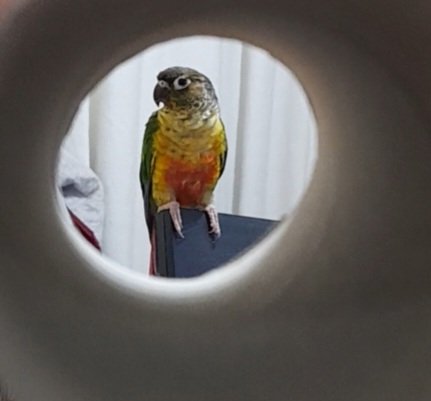 The names Bond..... Pookie Bond <a href="/Quagmire9/">Quagmire1428 Gaming</a> <a href="/MissGitty94/">Gitty</a>